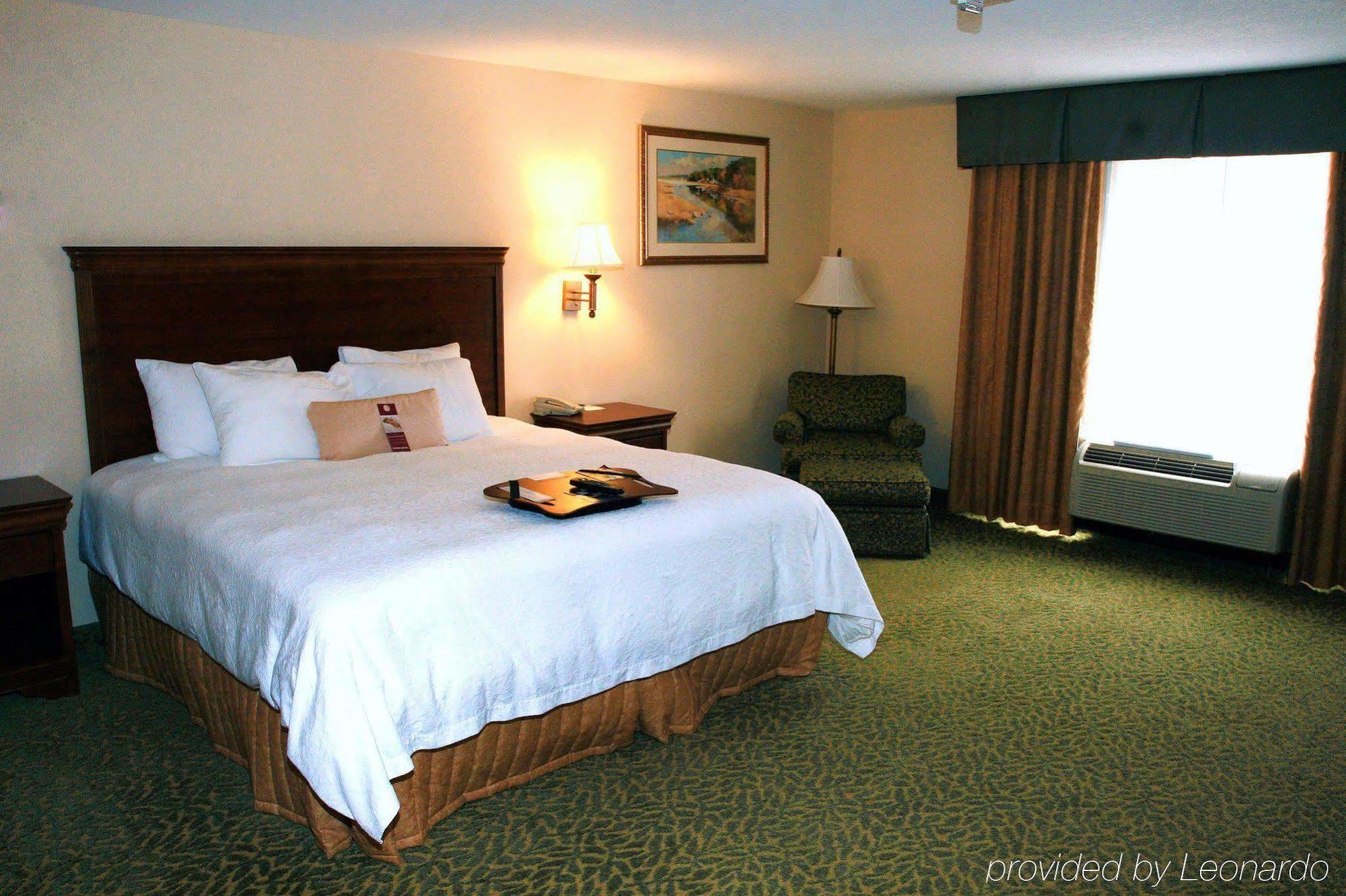 Hampton Inn & Suites Roswell Pokój zdjęcie